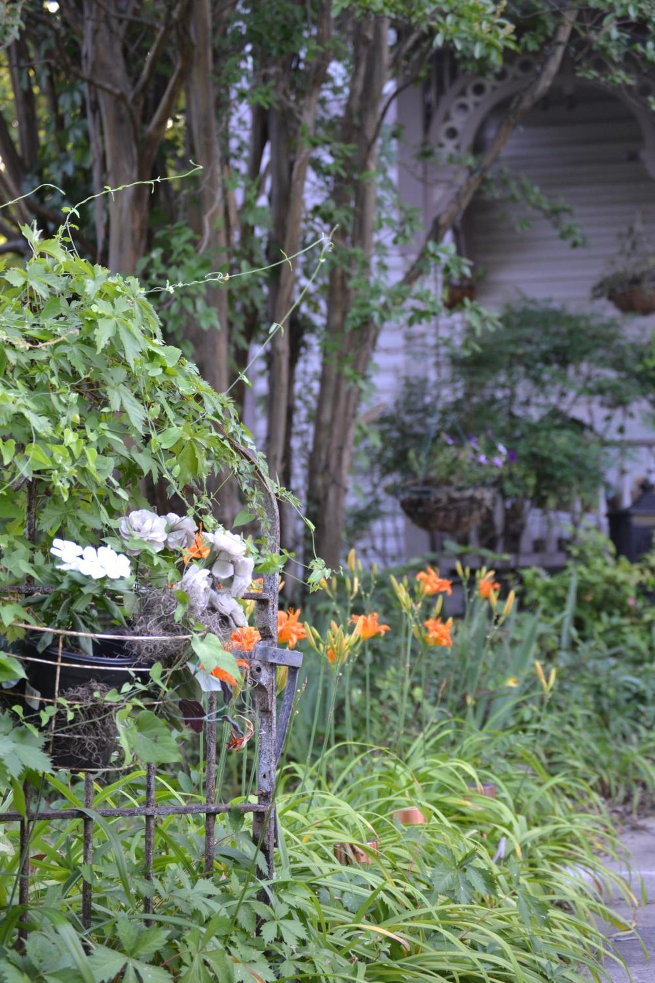 Carleton House Bed And Breakfast Bonham Exterior photo
